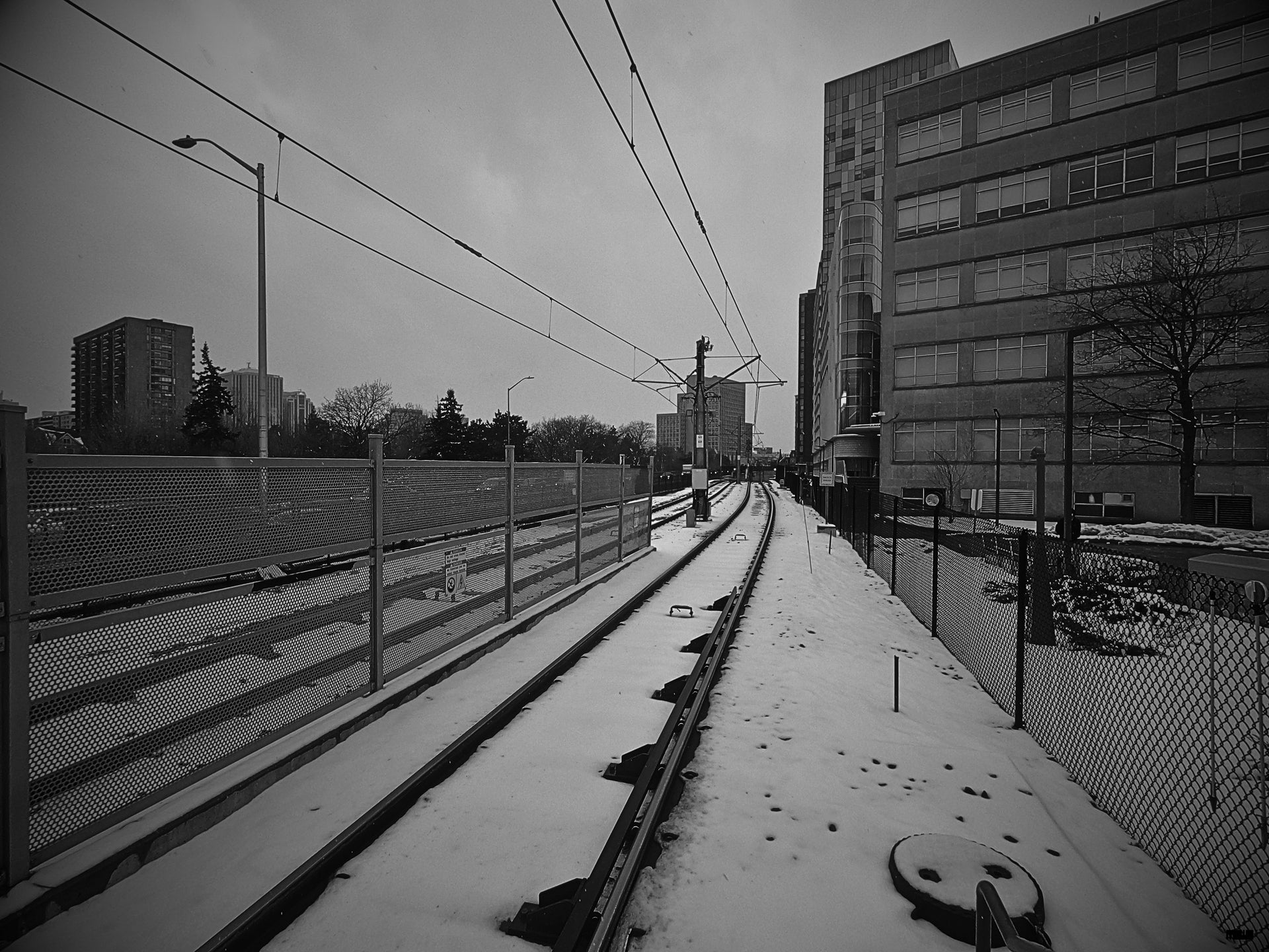 Disappearing Train Tracks [Photography Print]