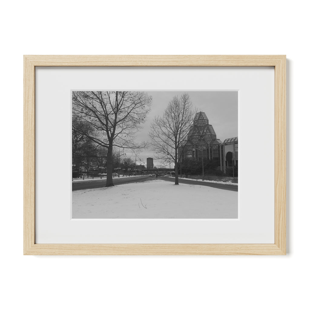 View Between Two Trees
