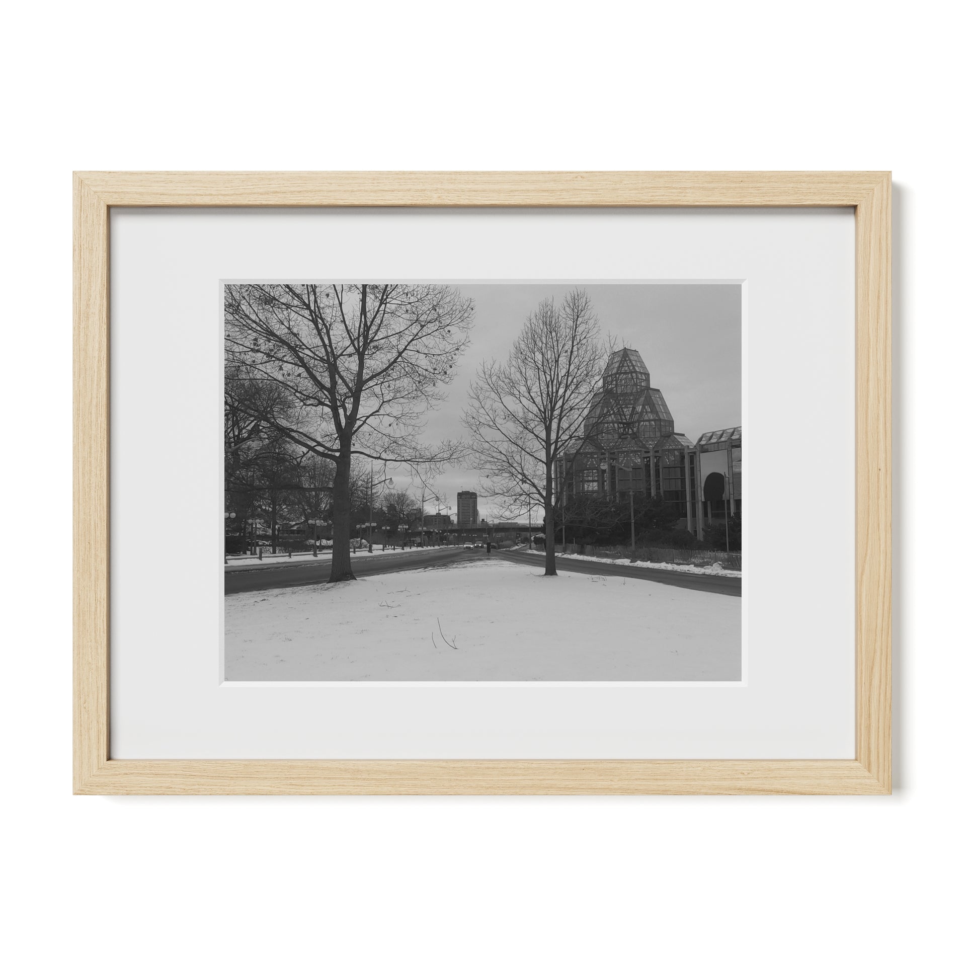 View Between Two Trees