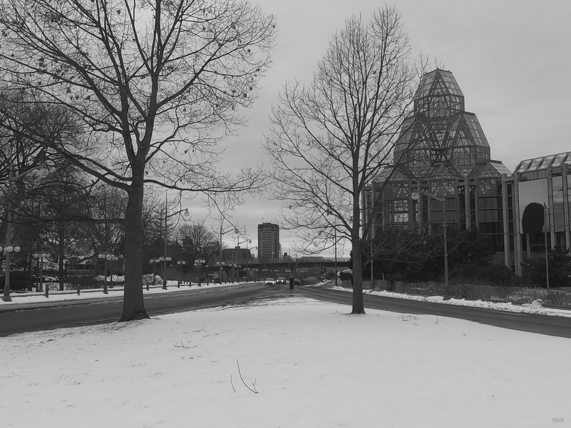 View Between Two Trees