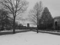 View Between Two Trees [Photography Print]